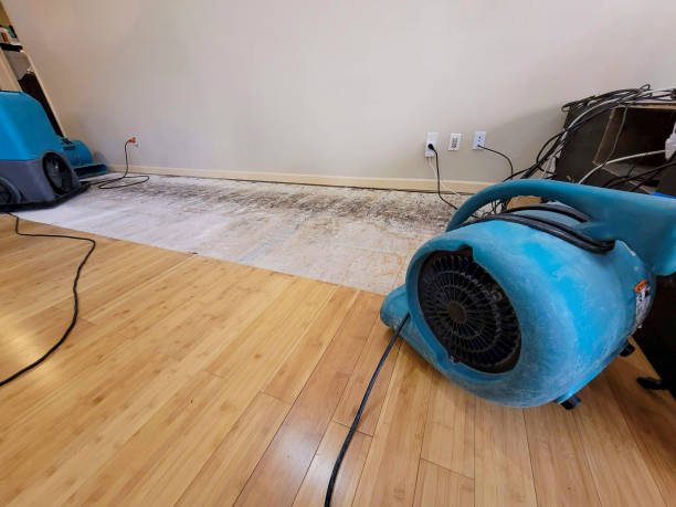 Professional Structural Drying technician working in Ardsley On Hudson, NY